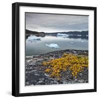 Greenland, Diskobay, Reefs, Sea with Icebergs-Luciano Gaudenzio-Framed Photographic Print