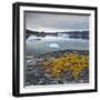 Greenland, Diskobay, Reefs, Sea with Icebergs-Luciano Gaudenzio-Framed Photographic Print