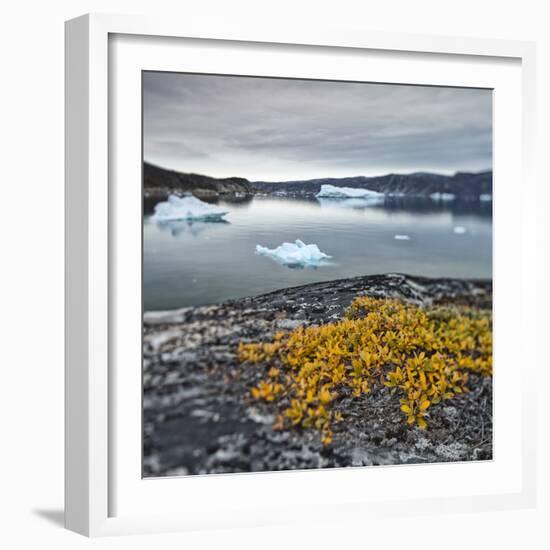 Greenland, Diskobay, Reefs, Sea with Icebergs-Luciano Gaudenzio-Framed Photographic Print