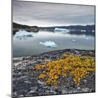 Greenland, Diskobay, Reefs, Sea with Icebergs-Luciano Gaudenzio-Mounted Photographic Print