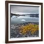 Greenland, Diskobay, Reefs, Sea with Icebergs-Luciano Gaudenzio-Framed Photographic Print