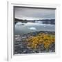 Greenland, Diskobay, Reefs, Sea with Icebergs-Luciano Gaudenzio-Framed Photographic Print