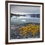 Greenland, Diskobay, Reefs, Sea with Icebergs-Luciano Gaudenzio-Framed Photographic Print