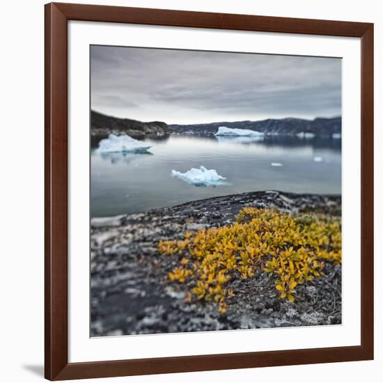 Greenland, Diskobay, Reefs, Sea with Icebergs-Luciano Gaudenzio-Framed Photographic Print