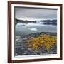 Greenland, Diskobay, Reefs, Sea with Icebergs-Luciano Gaudenzio-Framed Photographic Print