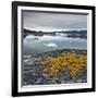 Greenland, Diskobay, Reefs, Sea with Icebergs-Luciano Gaudenzio-Framed Photographic Print