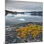 Greenland, Diskobay, Reefs, Sea with Icebergs-Luciano Gaudenzio-Mounted Photographic Print