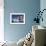 Greenland Flag on Arctic Umiaq Line Ferry-Paul Souders-Framed Photographic Print displayed on a wall