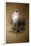 Greenland Gyrfalcon-Joseph Wolf-Framed Giclee Print