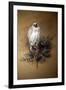 Greenland Gyrfalcon-Joseph Wolf-Framed Giclee Print