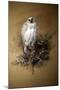 Greenland Gyrfalcon-Joseph Wolf-Mounted Giclee Print