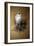 Greenland Gyrfalcon-Joseph Wolf-Framed Giclee Print