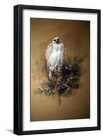 Greenland Gyrfalcon-Joseph Wolf-Framed Giclee Print