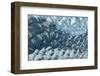 Greenland Ice Abstract-Art Wolfe-Framed Photographic Print