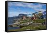 Greenland. Itilleq. Colorful houses dot the hillside.-Inger Hogstrom-Framed Stretched Canvas