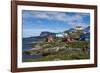 Greenland. Itilleq. Colorful houses dot the hillside.-Inger Hogstrom-Framed Photographic Print