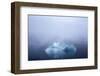 Greenland. Northeast Greenland National Park. Kong Oscar Fjord. Iceberg in dense fog.-Inger Hogstrom-Framed Photographic Print