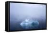 Greenland. Northeast Greenland National Park. Kong Oscar Fjord. Iceberg in dense fog.-Inger Hogstrom-Framed Stretched Canvas