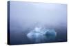 Greenland. Northeast Greenland National Park. Kong Oscar Fjord. Iceberg in dense fog.-Inger Hogstrom-Stretched Canvas