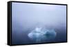 Greenland. Northeast Greenland National Park. Kong Oscar Fjord. Iceberg in dense fog.-Inger Hogstrom-Framed Stretched Canvas