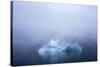 Greenland. Northeast Greenland National Park. Kong Oscar Fjord. Iceberg in dense fog.-Inger Hogstrom-Stretched Canvas