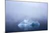 Greenland. Northeast Greenland National Park. Kong Oscar Fjord. Iceberg in dense fog.-Inger Hogstrom-Mounted Photographic Print