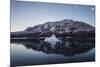 Greenland. Scoresby Sund. Gasefjord, icebergs and calm water.-Inger Hogstrom-Mounted Premium Photographic Print