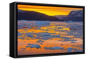 Greenland. Scoresby Sund. Gasefjord. Sunset with icebergs and brash ice.-Inger Hogstrom-Framed Stretched Canvas