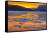 Greenland. Scoresby Sund. Gasefjord. Sunset with icebergs and brash ice.-Inger Hogstrom-Framed Stretched Canvas