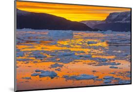 Greenland. Scoresby Sund. Gasefjord. Sunset with icebergs and brash ice.-Inger Hogstrom-Mounted Photographic Print