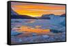 Greenland, Scoresby Sund, Gasefjord. Sunset with icebergs and brash ice.-Inger Hogstrom-Framed Stretched Canvas