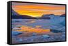 Greenland, Scoresby Sund, Gasefjord. Sunset with icebergs and brash ice.-Inger Hogstrom-Framed Stretched Canvas