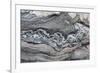 Greenland, Scoresbysund, aka Scoresby Sund, Hekla Havn, Danmark O. Detail of interesting rock patte-Cindy Miller Hopkins-Framed Photographic Print