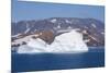 Greenland, Scoresbysund, aka Scoresby Sund. Large icebergs near Ittoqqortoormiit.-Cindy Miller Hopkins-Mounted Photographic Print