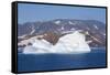 Greenland, Scoresbysund, aka Scoresby Sund. Large icebergs near Ittoqqortoormiit.-Cindy Miller Hopkins-Framed Stretched Canvas