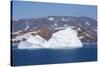 Greenland, Scoresbysund, aka Scoresby Sund. Large icebergs near Ittoqqortoormiit.-Cindy Miller Hopkins-Stretched Canvas