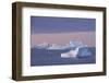 Greenland, Scoresbysund, aka Scoresby Sund, Nordvestfjord. Sunrise over huge icebergs.-Cindy Miller Hopkins-Framed Photographic Print