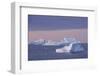 Greenland, Scoresbysund, aka Scoresby Sund, Nordvestfjord. Sunrise over huge icebergs.-Cindy Miller Hopkins-Framed Photographic Print