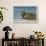 Greenland Sea, Norway, Spitsbergen. Bearded Seal Cow Rests on Sea Ice-Steve Kazlowski-Framed Photographic Print displayed on a wall