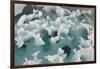 Greenland Sea, Norway, Spitsbergen. Blue Glacial Iceberg in Summer-Steve Kazlowski-Framed Photographic Print