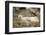 Greenland Sea, Norway, Spitsbergen. Polar Bear with Cub Resting-Steve Kazlowski-Framed Photographic Print