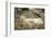 Greenland Sea, Norway, Spitsbergen. Polar Bear with Cub Resting-Steve Kazlowski-Framed Photographic Print