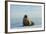 Greenland Sea, Norway, Spitsbergen. Walrus Rests on Summer Sea Ice-Steve Kazlowski-Framed Photographic Print