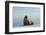 Greenland Sea, Norway, Spitsbergen. Walrus Rests on Summer Sea Ice-Steve Kazlowski-Framed Photographic Print