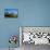 Greenland. Sisimiut. Fishing boats and colorful houses.-Inger Hogstrom-Photographic Print displayed on a wall