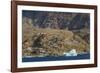 Greenland. Uummannaq. Colorful houses dot the rocky landscape.-Inger Hogstrom-Framed Photographic Print