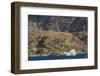 Greenland. Uummannaq. Colorful houses dot the rocky landscape.-Inger Hogstrom-Framed Photographic Print