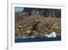 Greenland, Uummannaq. Colorful houses dot the rocky landscape.-Inger Hogstrom-Framed Photographic Print