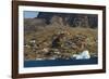 Greenland, Uummannaq. Colorful houses dot the rocky landscape.-Inger Hogstrom-Framed Photographic Print