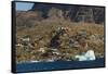 Greenland, Uummannaq. Colorful houses dot the rocky landscape.-Inger Hogstrom-Framed Stretched Canvas